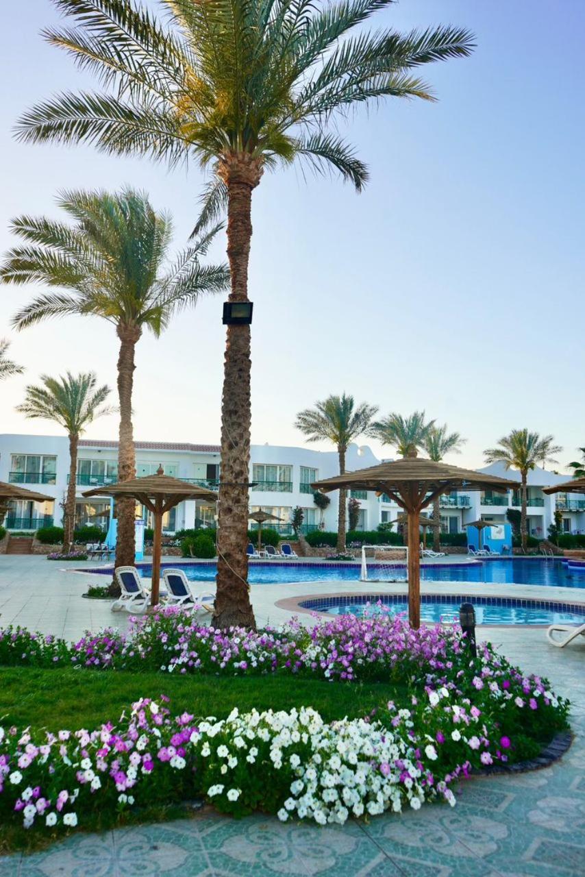 Hotel Panorama Naama Heights à Charm el-Cheikh Extérieur photo